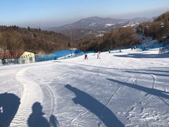 -亚布力新体委滑雪场