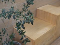 -Onirii Coffee(长乐路店)