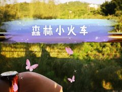 -东部华侨城