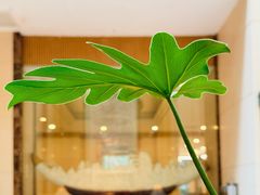 -阿什卡咖啡馆ESSCA COFFEE(塔里木石油宾馆店)