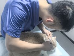 -半岛宠物医院24小时(科华中路店)
