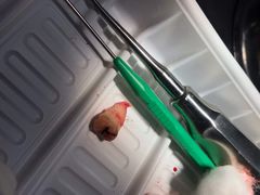 -上海市杨浦区牙病防治所