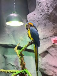 -Zoolung Zoolung动物主题公园(海信广场店)