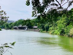 -龙天小镇