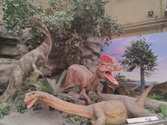 -国家自然博物馆