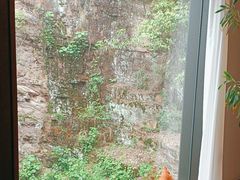 -雅苑中餐厅
