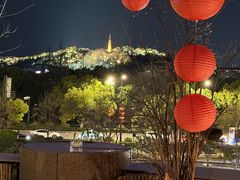 -青藤茶馆(凤起路店)