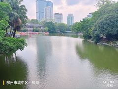 -柳侯公园