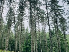 -硗碛藏寨·神木垒景区