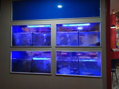 -小龍鳳·港式海鲜打边炉(沙湖路店)