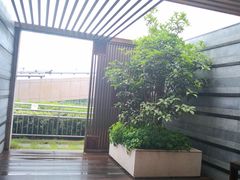 -杭州君悦酒店