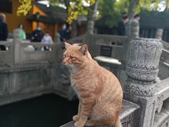 -西园戒幢律寺