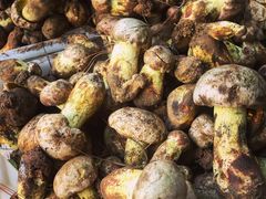 火锅野生菌-双喜农庄·菌香园(安居家园店)