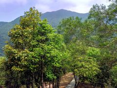 -梧桐山风景名胜区