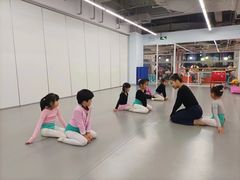 -舞蕾舞蹈·专注中国舞18年(天通苑中心校区)