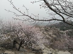 -北京鹫峰国家森林公园