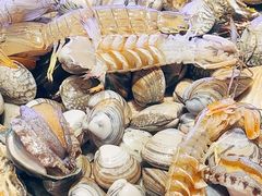 -倍儿美海鲜大排挡·非遗海鲜蒸饺(洋货店)