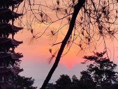 -缙云山景区