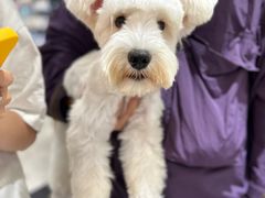 -FAELING PETS美天灵宠物(合生汇店)