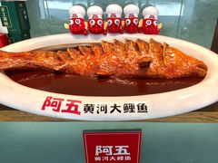 -阿五黄河大鲤鱼(英协路店)
