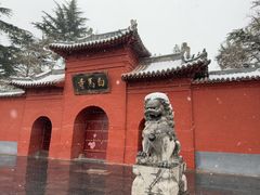 -洛阳白马寺