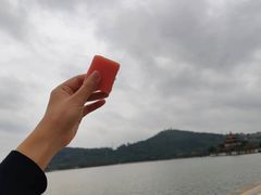 -顺峰山公园