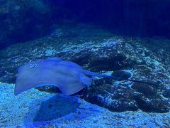 -海合安武汉极地海洋公园