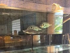 -万鱼亭 日本料理(无锡香山名园店)