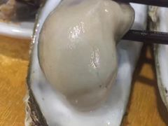 -蚝专家(北滘店)
