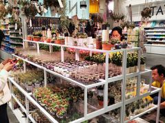 -KKV(深圳宏发大仟里店)