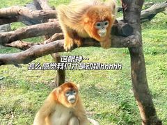 -西安秦岭野生动物园
