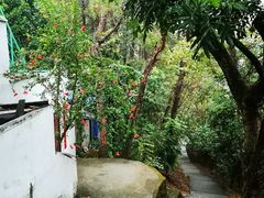 -风云岭森林公园