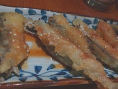 -山杏yama-katsu·吉列炸物