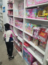 -逝水玩具折扣店