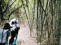 景点-东平洲海岸公园