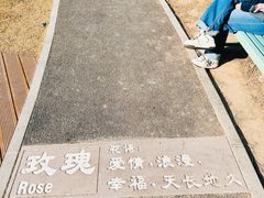 -双榆树公园
