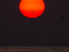 -青岛第三海水浴场