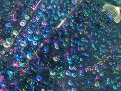 -深圳独角兽星空艺术馆
