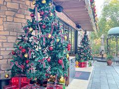 -Mammamia意大利餐厅(阳春巷店)