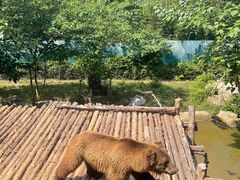 -济南野生动物世界