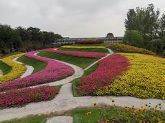 -南通洲际绿博园