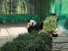 -杭州野生动物世界