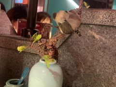 -佬麻雀·剁椒鱼头(京基KK One店)