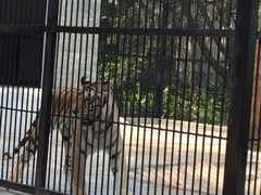 -广东茂名森林公园