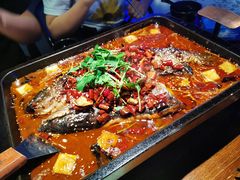-SIGN星座主题音乐餐吧