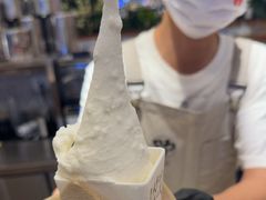 -野人先生Gelato(上海长宁龙之梦店)
