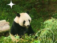 -安吉竹博园