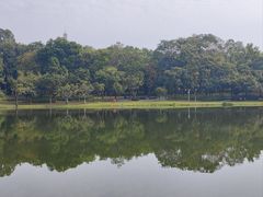 -东莞植物园