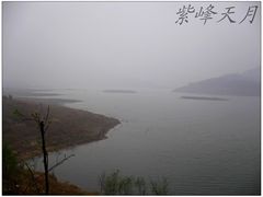 -望湖烤鱼
