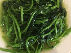 -黄流叉路老鸭